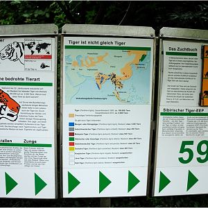 Amur-tiger sign at Hamburg