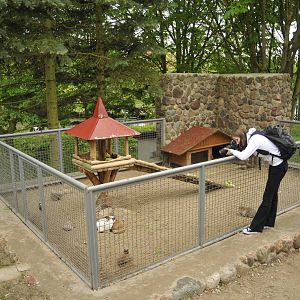 Old carnivore-exhibit at Wismar