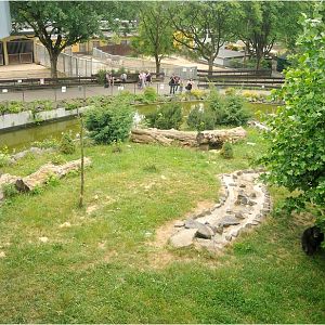 Chimp outdoor enclosure at Neuwied