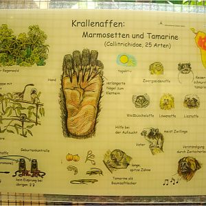 Monkey sign at Neuwied