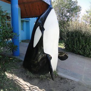 Killer Whale statue