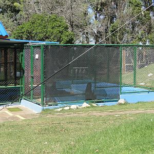 Marine Animal Rehabilitation Center