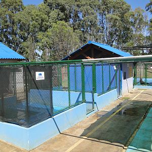 Marine Animal Rehabilitation Center