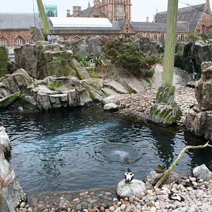 Seal and Penguin coasts