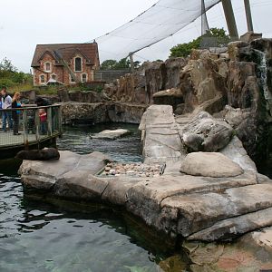 Seal and Penguin coasts
