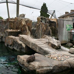 Seal and Penguin coasts