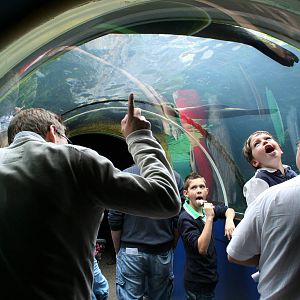 Seal and Penguin Coasts