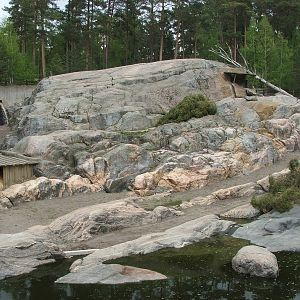 Snow leopard exhibit