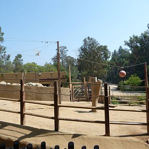 Los Angeles Zoo - Infamous Elephant Paddock