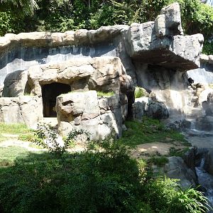 Los Angeles Zoo - Chimpanzee Exhibit