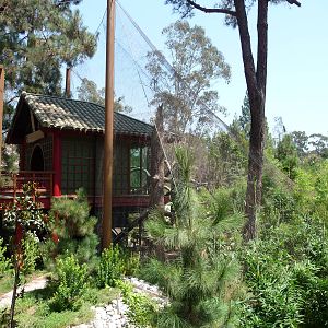 Los Angeles Zoo - Golden Monkey Exhibit
