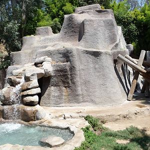 Los Angeles Zoo - Black Bear Exhibit