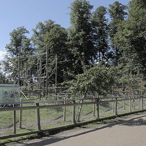 Lion-tailed macaque enclosure