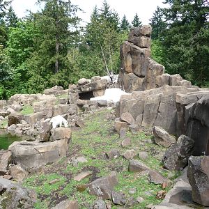 Oregon Zoo - Rocky Mountain Goat Exhibit