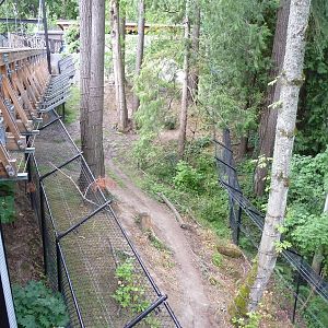 Oregon Zoo - Black Bear Exhibit