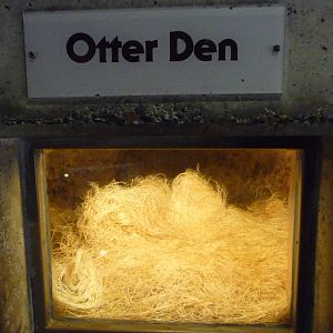 Oregon Zoo - Otter Den