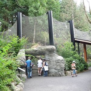 Oregon Zoo - Mountain Lion Exhibit