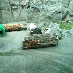 Oregon Zoo - Polar Bear Exhibit
