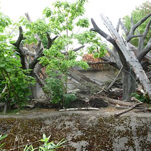 Oregon Zoo - Sun Bear Exhibit