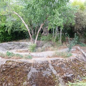 Oregon Zoo - Amur Tiger Grotto