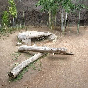 Oregon Zoo - Babirusa Exhibit