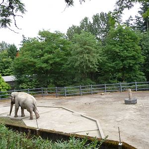 Oregon Zoo - Asian Elephant Exhibit