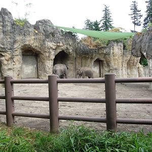 Oregon Zoo - Asian Elephant Exhibit