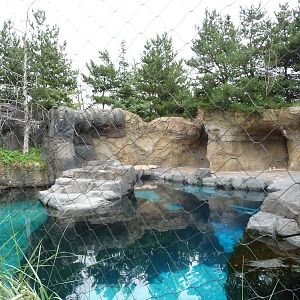 Oregon Zoo - Steller's Sea Lion Exhibit