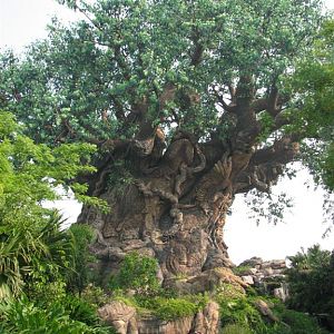 Disney's Animal Kingdom - Tree of Life