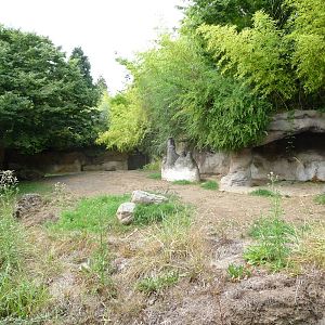Oregon Zoo - Black Rhino Exhibit