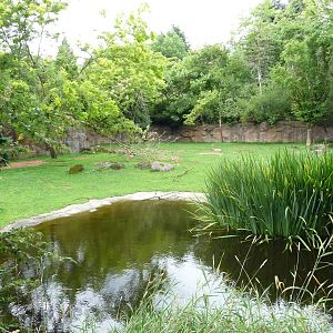 Oregon Zoo - Gerenuk/Damara Zebra Exhibit