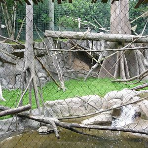 Oregon Zoo - Monkey Exhibit