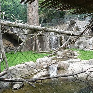 Oregon Zoo - Monkey Exhibit