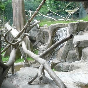 Oregon Zoo - Monkey Exhibit