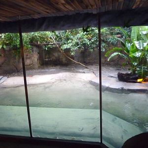 Oregon Zoo - Slender-Snouted Crocodile Exhibit