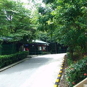 Clouded leopard and civet exhibit