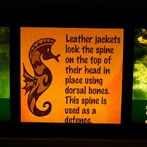 example of signage, Portobello Aquarium