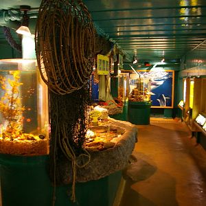 Portobello Aquarium, Dunedin