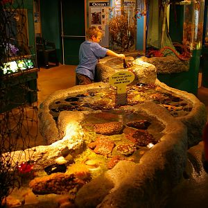 touch tank, Portobello Aquarium