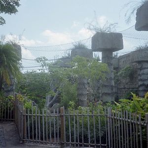 Jaguar Exhibit - Tropics of the Americas