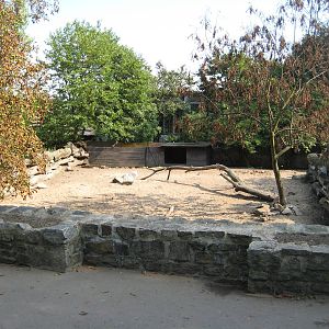 Exhibit for red river hogs