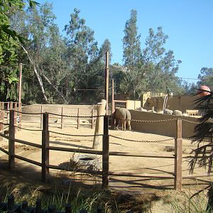 Asian Elephant exhibit at the Los Angeles Zoo