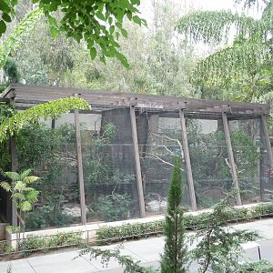 San Diego Zoo - Hornbill Exhibits