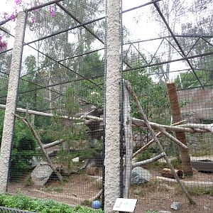 San Diego Zoo - Siberian Lynx Exhibit