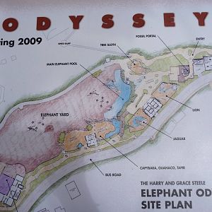 San Diego Zoo - Elephant Odyssey