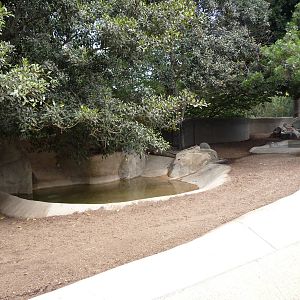 San Diego Zoo - Baird's Tapir/Capybara/Guanaco Exhibit