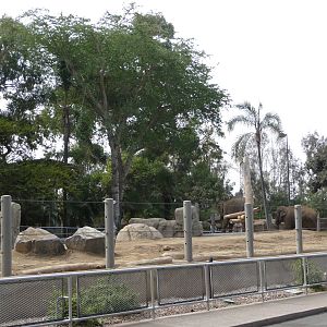 San Diego Zoo - Elephant Exhibit