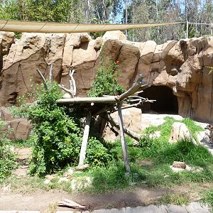 San Diego Zoo - Spotted Hyena Exhibit