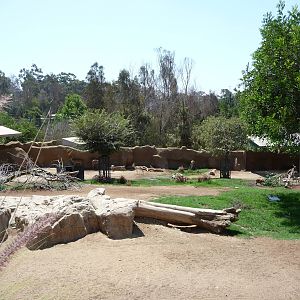 San Diego Zoo - African Savanna