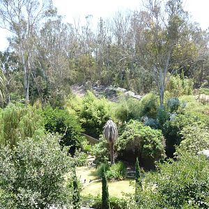 San Diego Zoo -Overview
